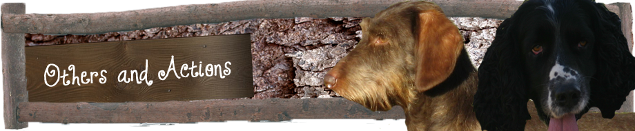 banner - ostani a akce aj